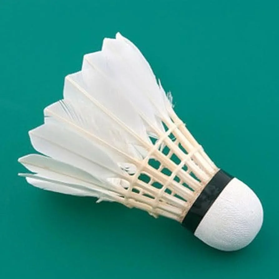 Why Does a Shuttlecock Have Exactly 16 Feathers?