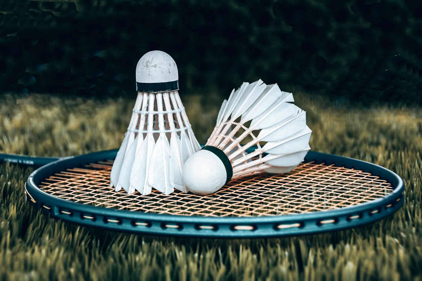 Badminton or Gym: Which Is Better for Your Health and Fitness Goals?